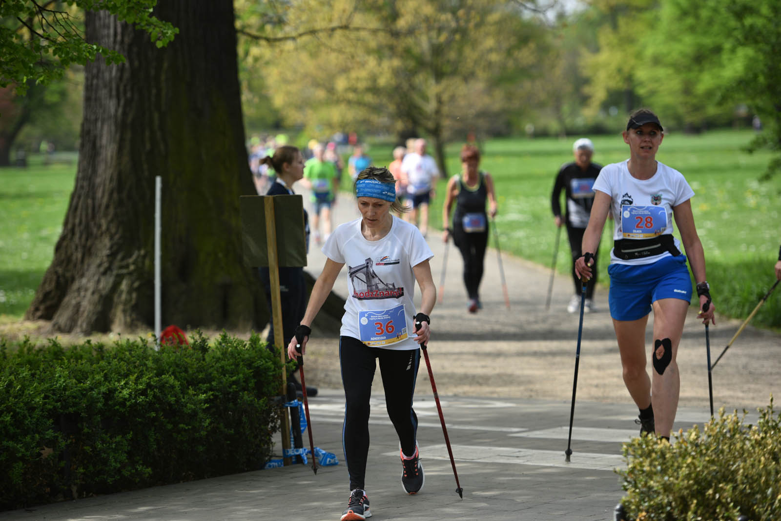 Aktywnie, czyli Otwarte Mistrzostwa Legnicy w Nordic Walking