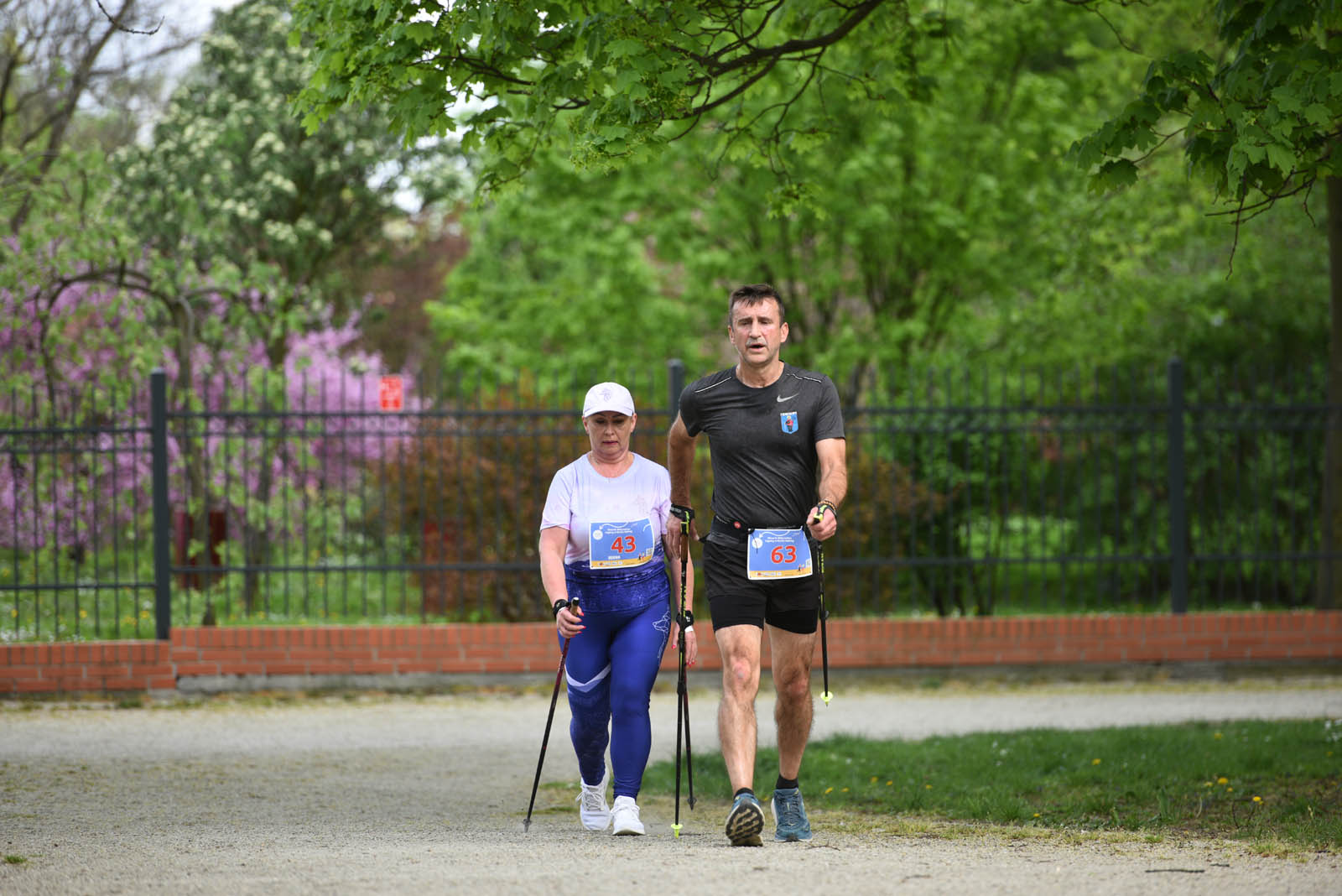 Aktywnie, czyli Otwarte Mistrzostwa Legnicy w Nordic Walking