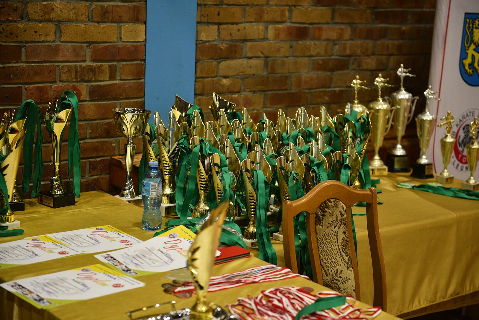 XXXIII Puchar Dolnego Śląska Silesia Cup w karate sportowym cz.2