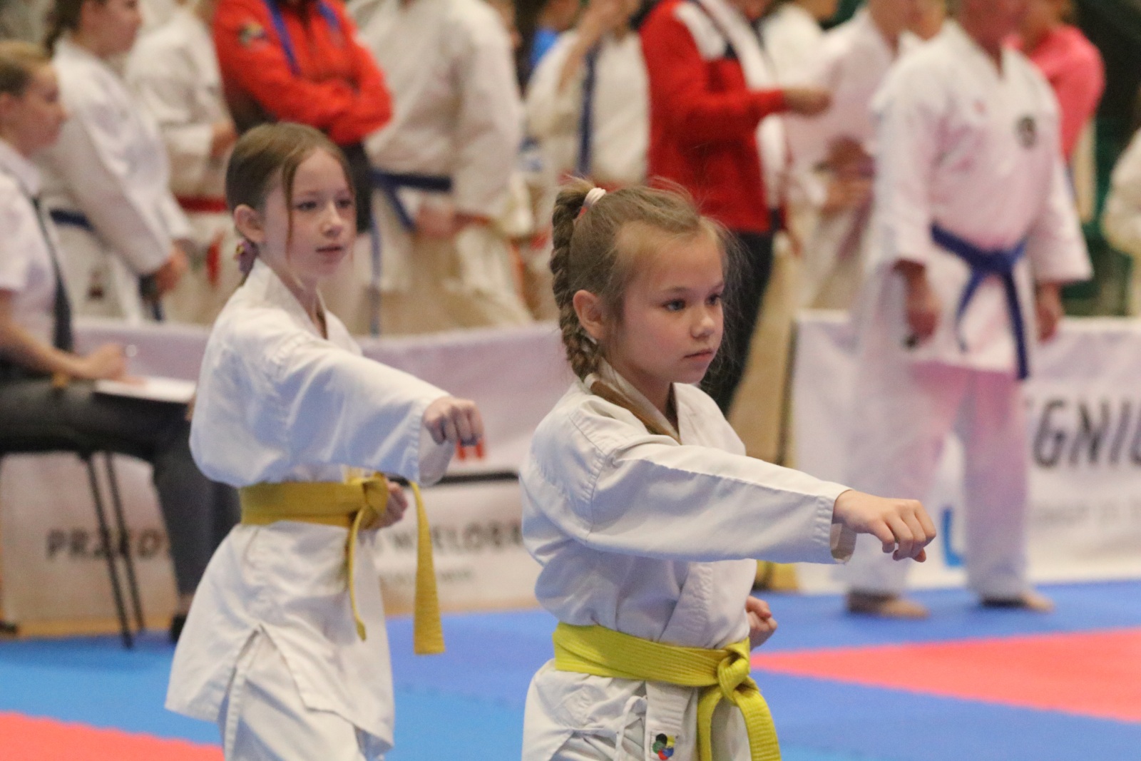 XXXIII Puchar Dolnego Śląska Silesia Cup w karate sportowym