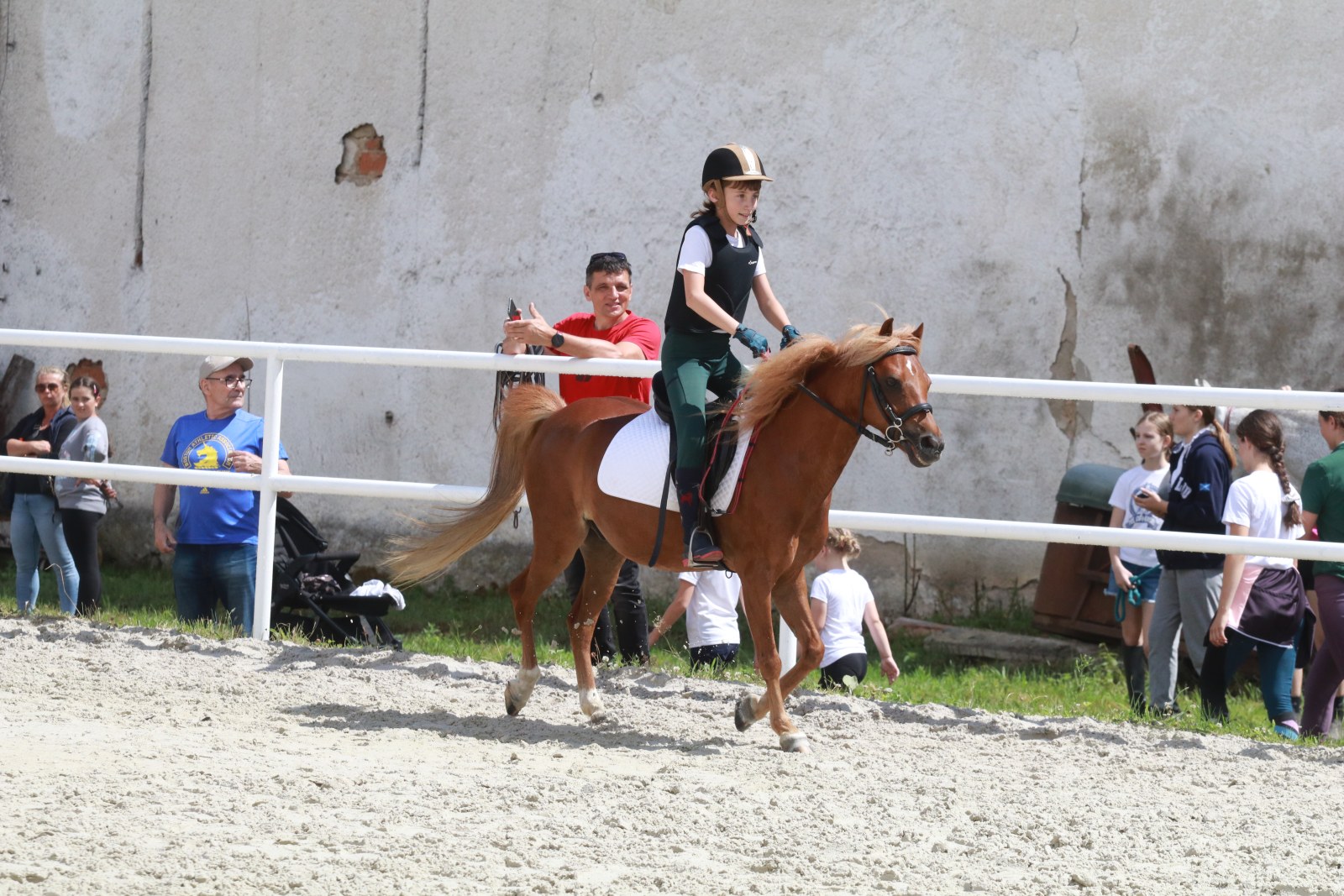 Zawody w skokach przez przeszkody w Ośrodku Jeździckim Kwiatów