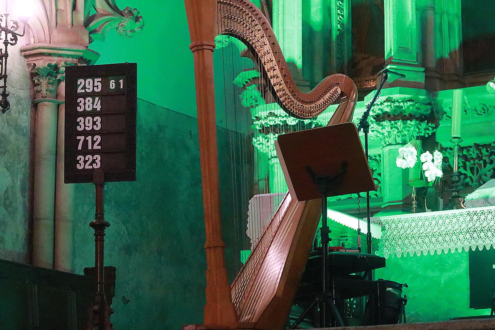Legnickie Wieczory Organowe: Koncert inauguracyjny