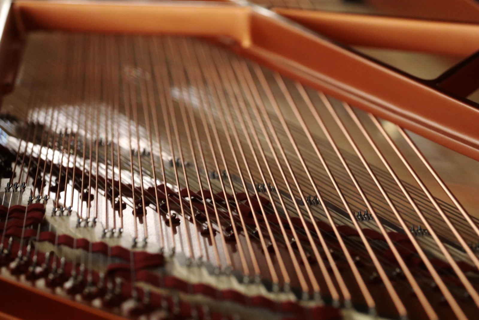 SIMA Classics Piano - Kongyan Xin laureatem nagrody publiczności