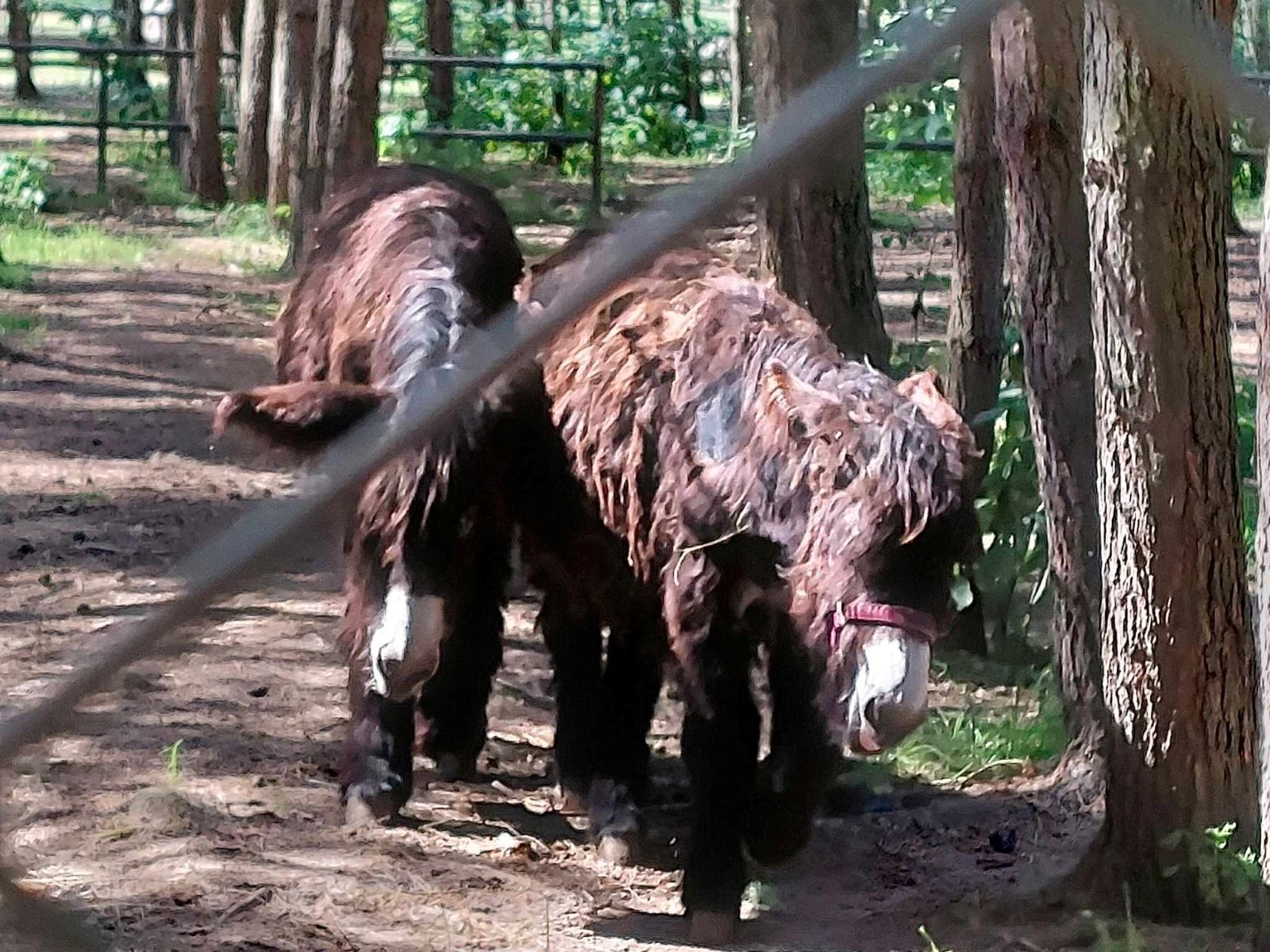 Aktywnie i atrakcyjnie. Tak wyglądała kolonia TPD w Rowach