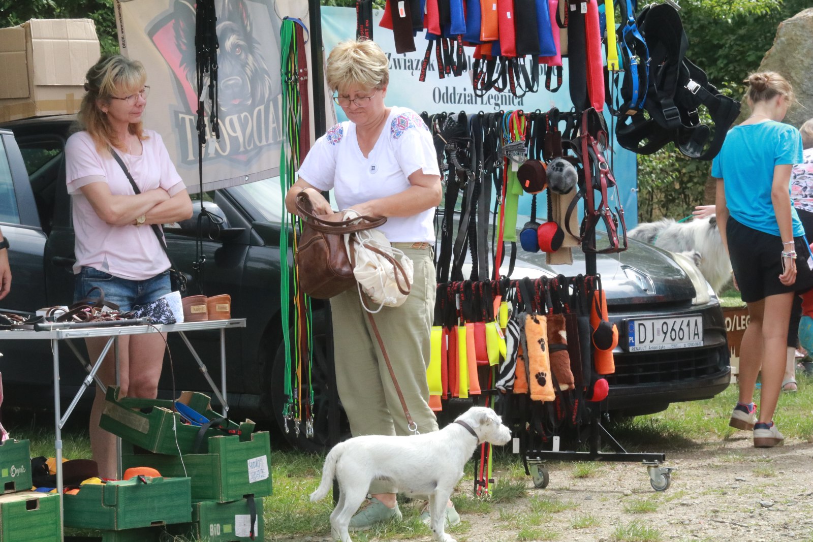 Wystawa Psów Myśliwskich oraz Wystawa Grup FCI w Dobrzejowie