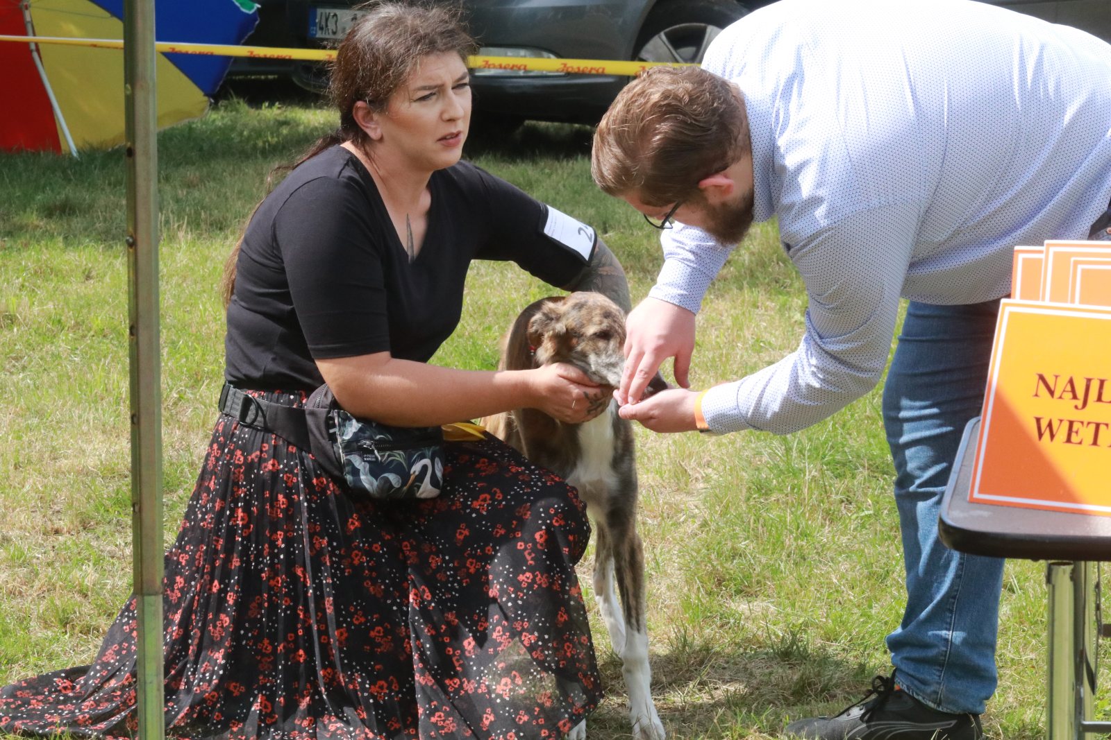 Wystawa Psów Myśliwskich oraz Wystawa Grup FCI w Dobrzejowie