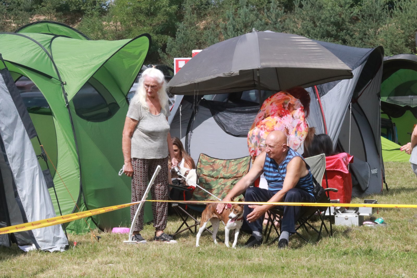 Wystawa Psów Myśliwskich oraz Wystawa Grup FCI w Dobrzejowie