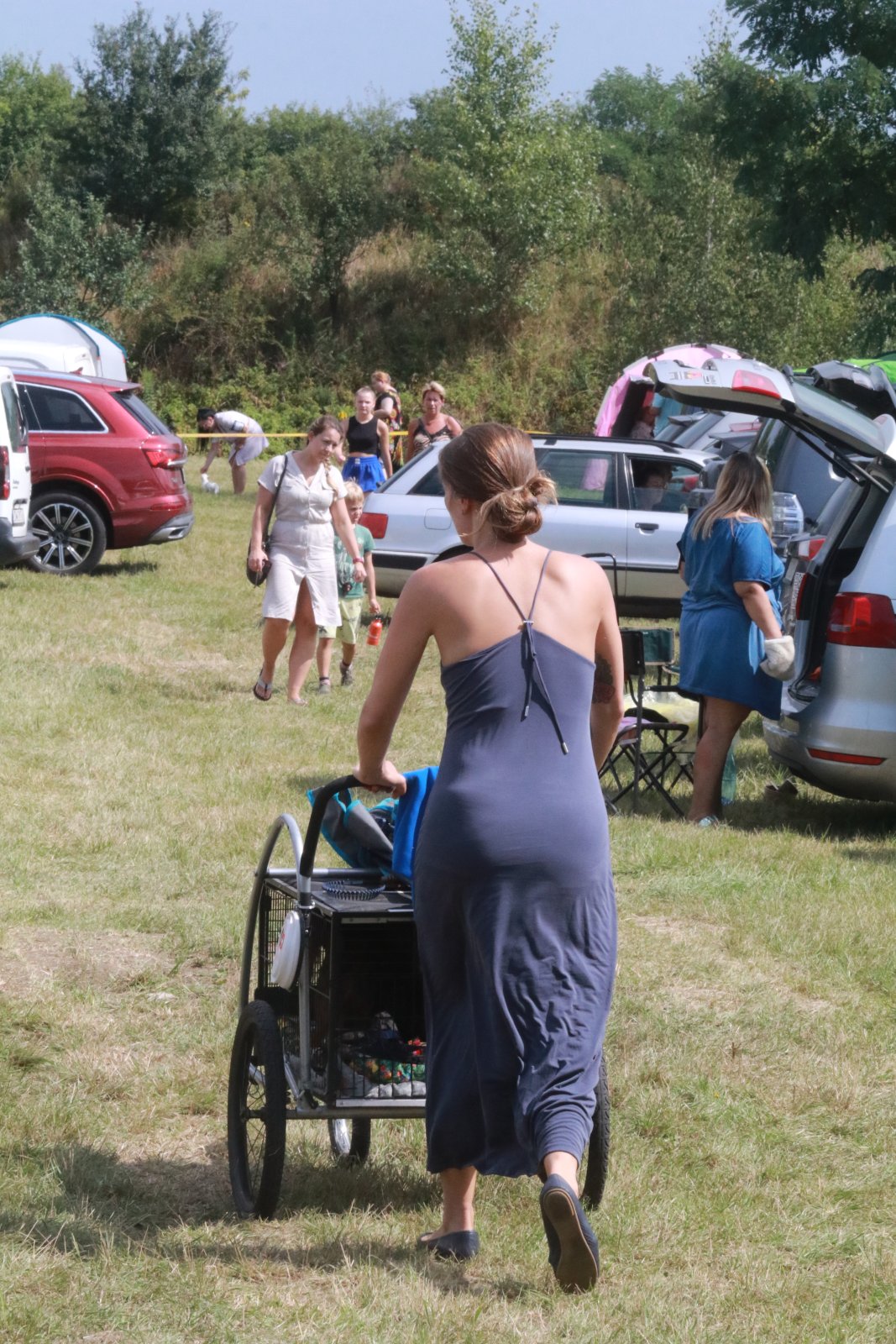 Wystawa Psów Myśliwskich oraz Wystawa Grup FCI w Dobrzejowie