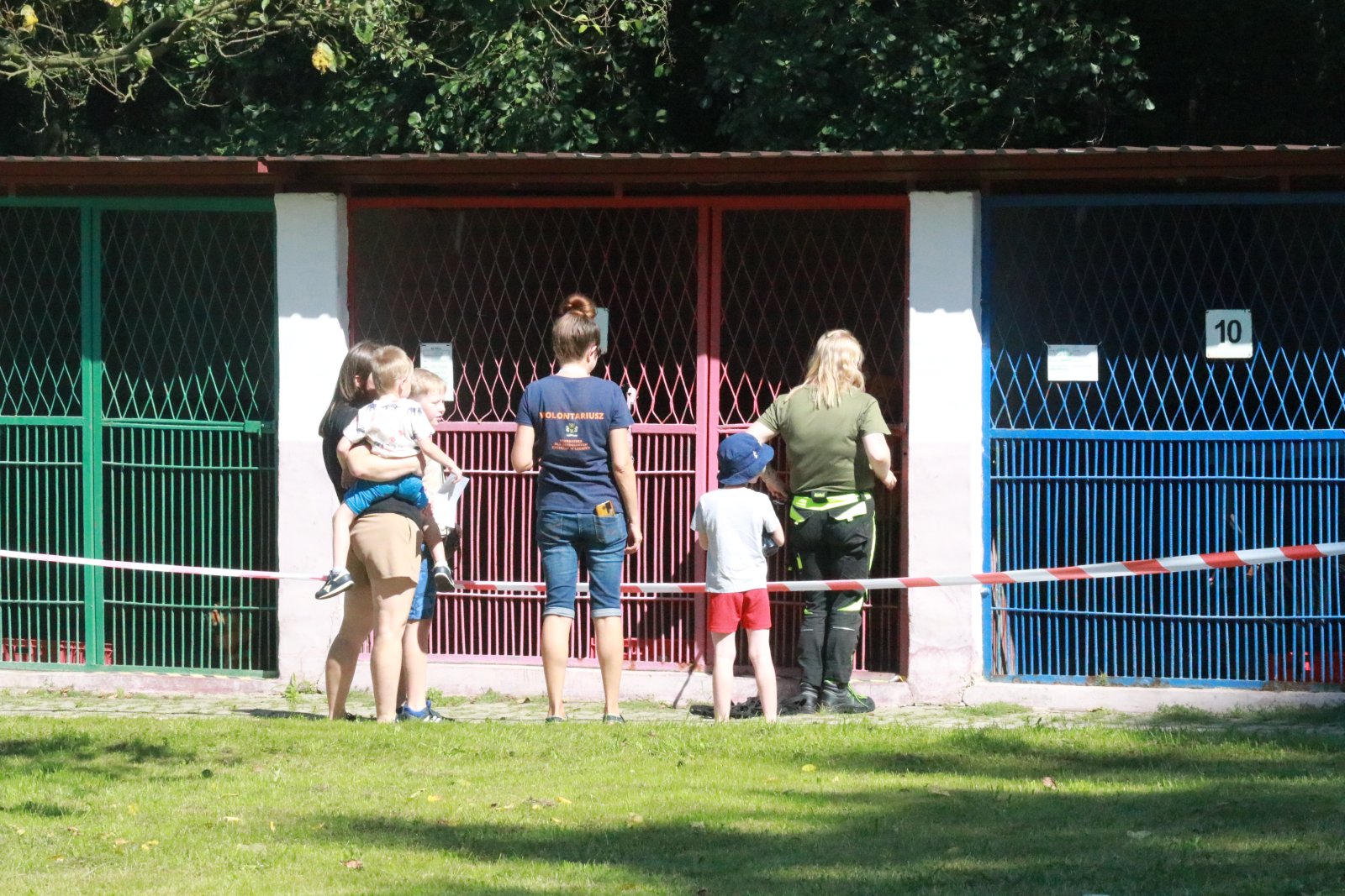 Letnie pożegnanie w schronisku: Spotkanie z Bezdomniakami