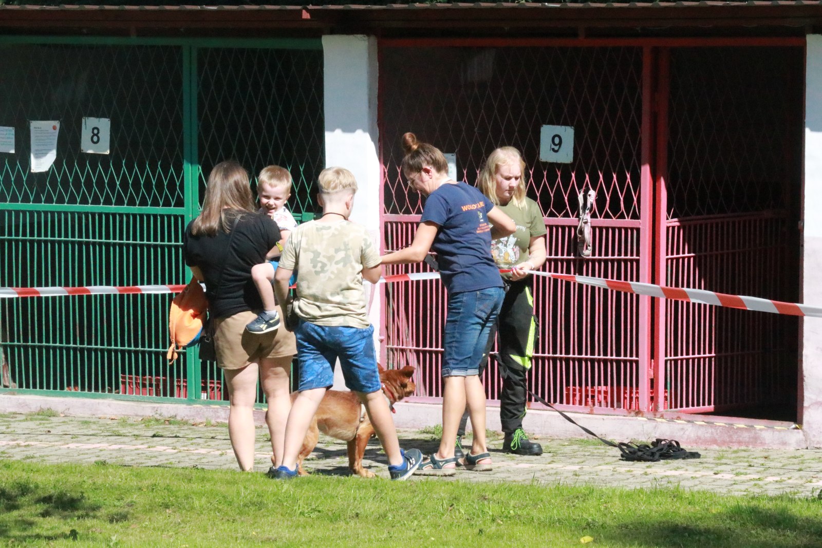 Letnie pożegnanie w schronisku: Spotkanie z Bezdomniakami