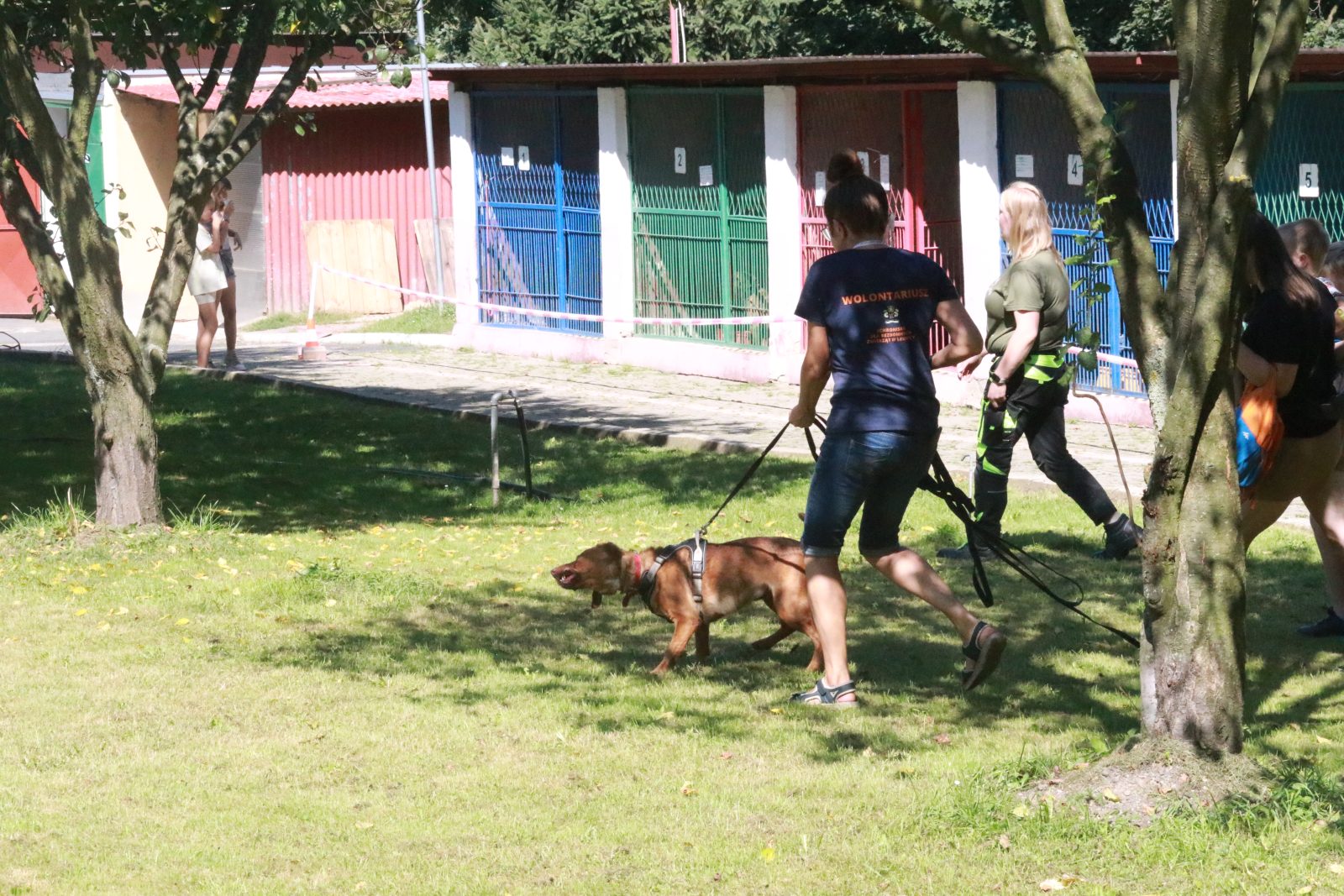 Letnie pożegnanie w schronisku: Spotkanie z Bezdomniakami