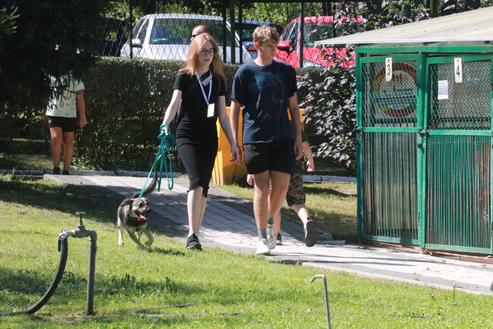 Letnie pożegnanie w schronisku: Spotkanie z Bezdomniakami