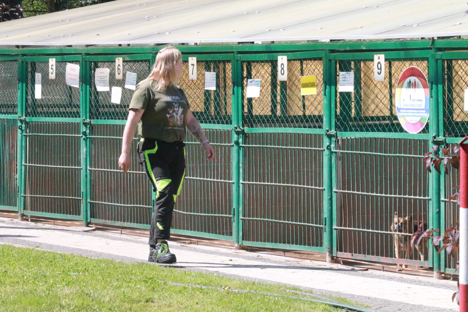 Letnie pożegnanie w schronisku: Spotkanie z Bezdomniakami