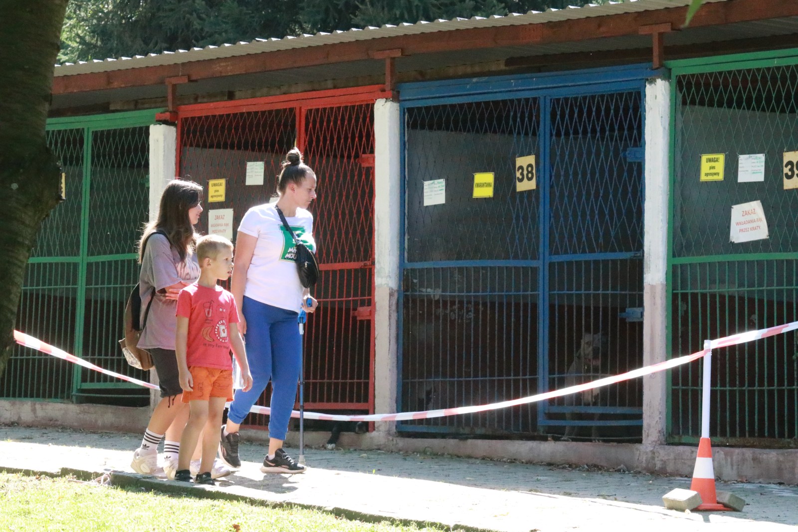 Letnie pożegnanie w schronisku: Spotkanie z Bezdomniakami