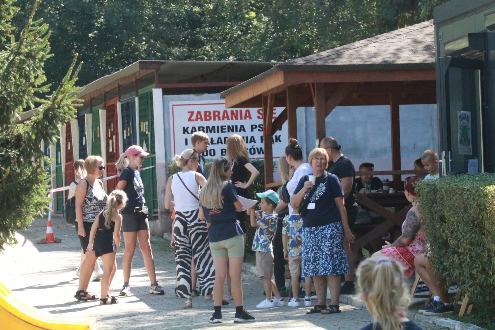 Letnie pożegnanie w schronisku: Spotkanie z Bezdomniakami