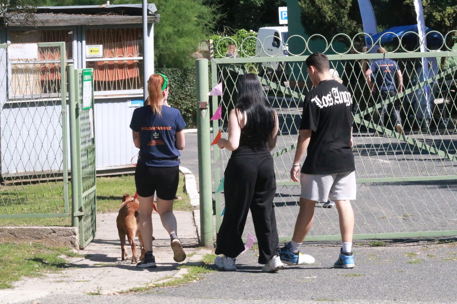 Letnie pożegnanie w schronisku: Spotkanie z Bezdomniakami