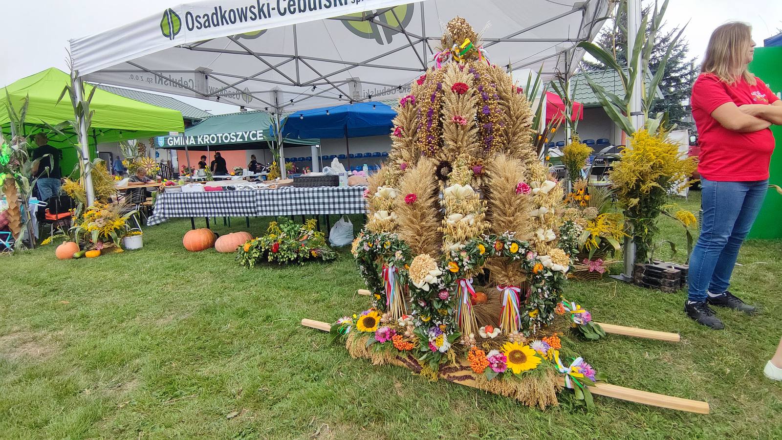 Otwarcie dożynek w Krotoszycach: prezentacja wieńców