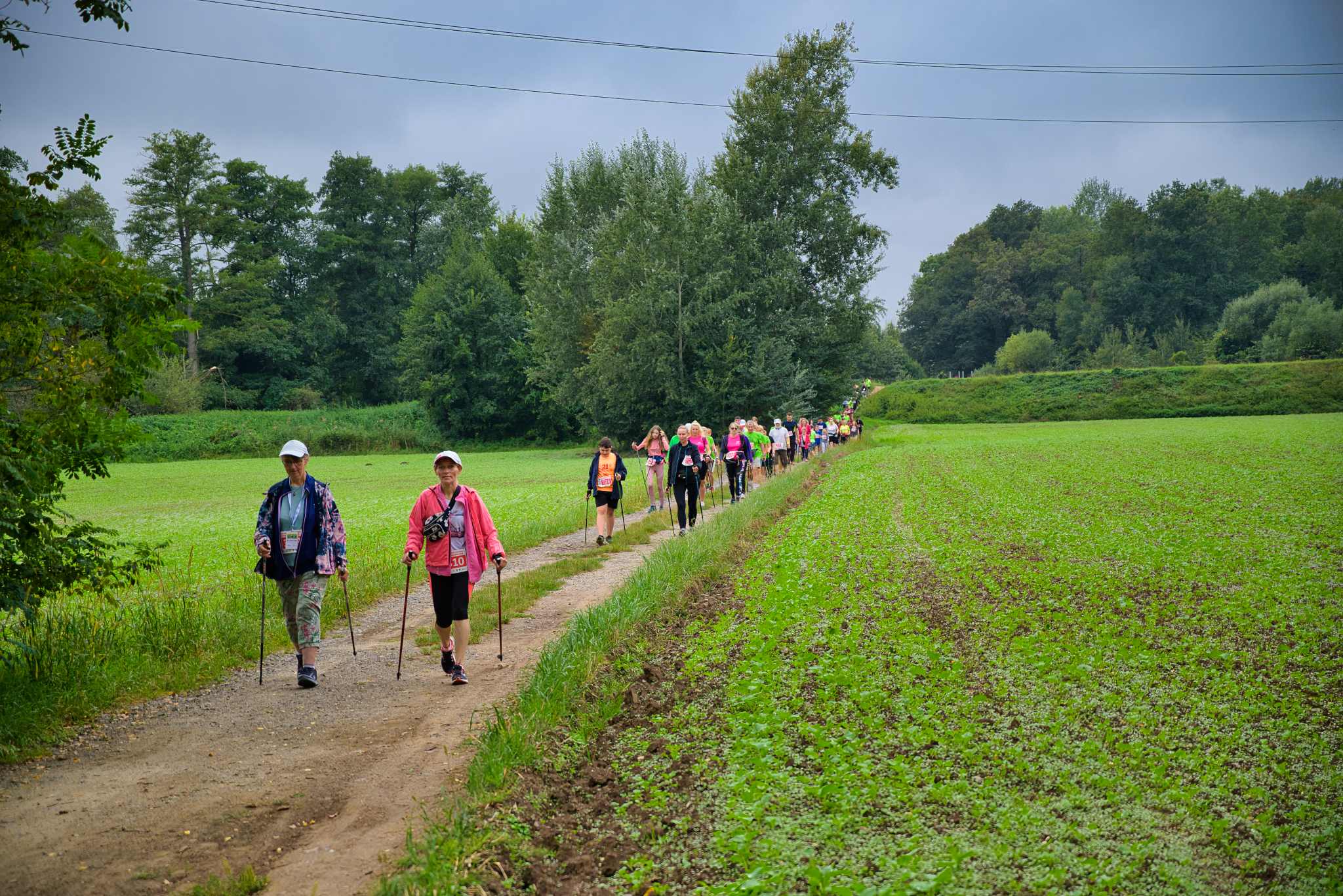 Wielkie święto Nordic Walking odbyło się w Prochowicach