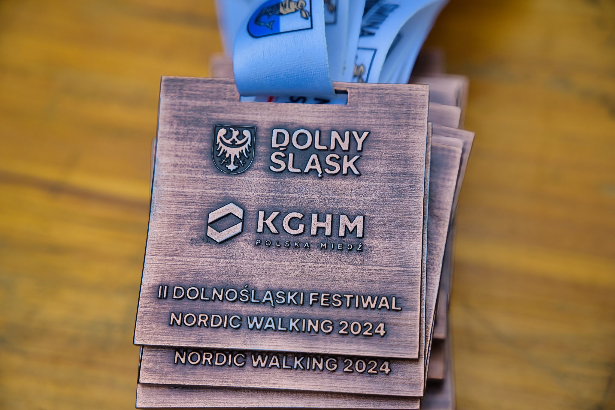 Wielkie święto Nordic Walking odbyło się w Prochowicach