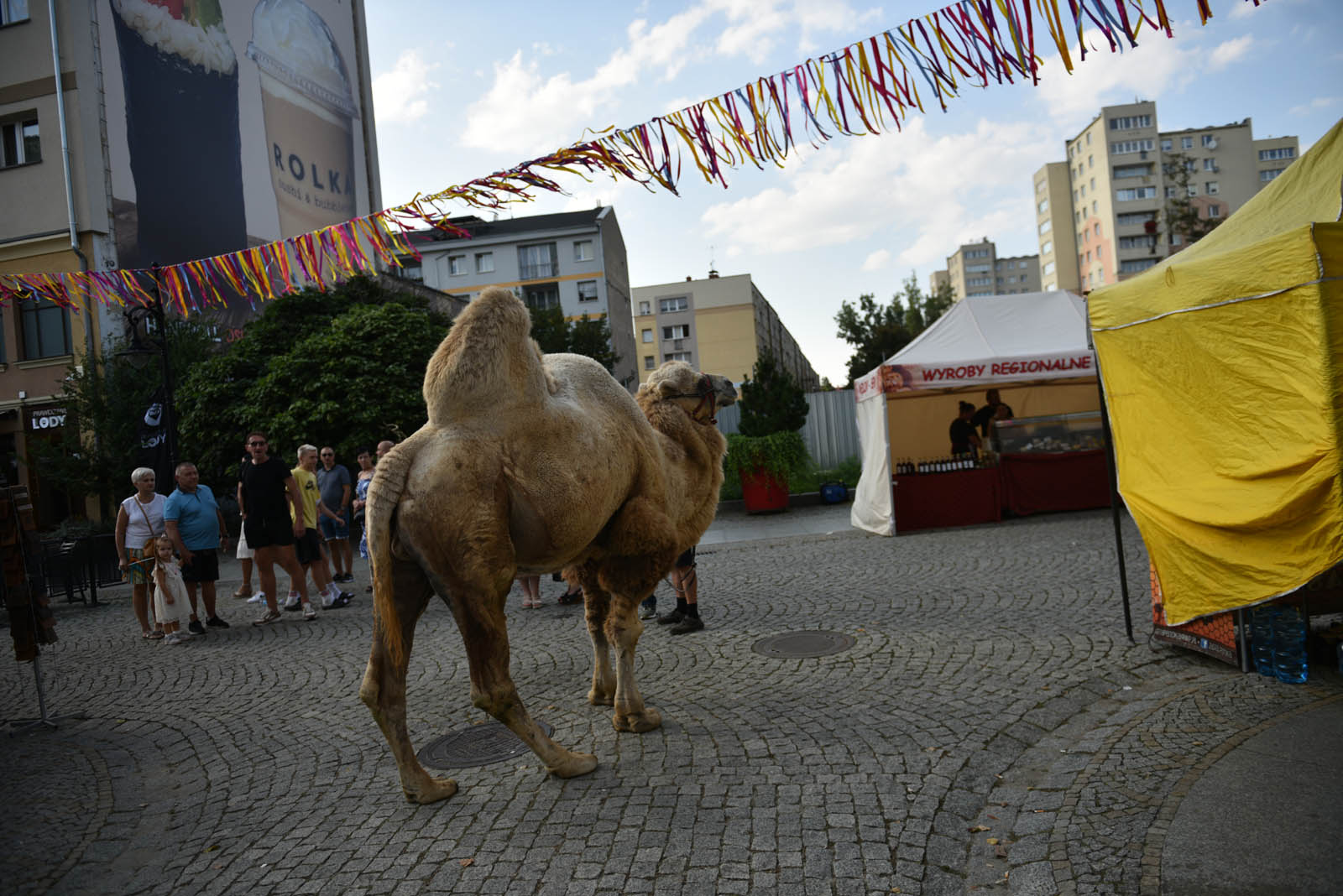 Ulica Najświętszej Marii Panny świętuje, wraz z nią legniczanie