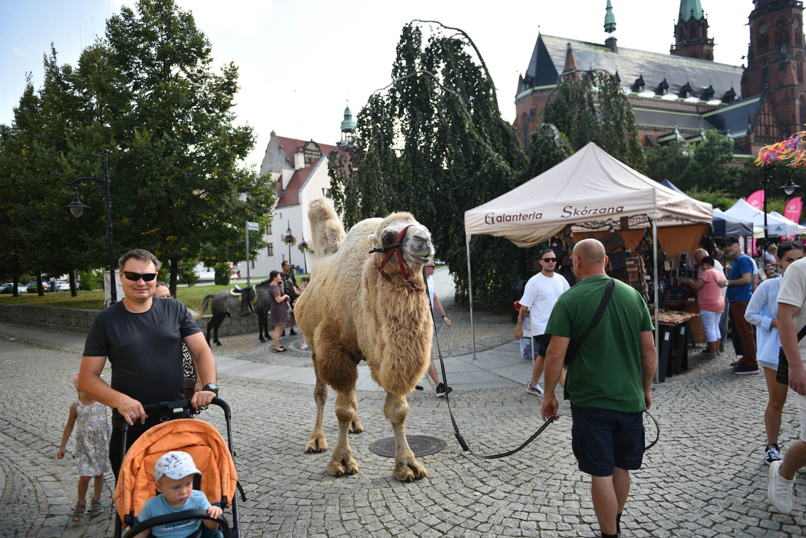 Ulica Najświętszej Marii Panny świętuje, wraz z nią legniczanie
