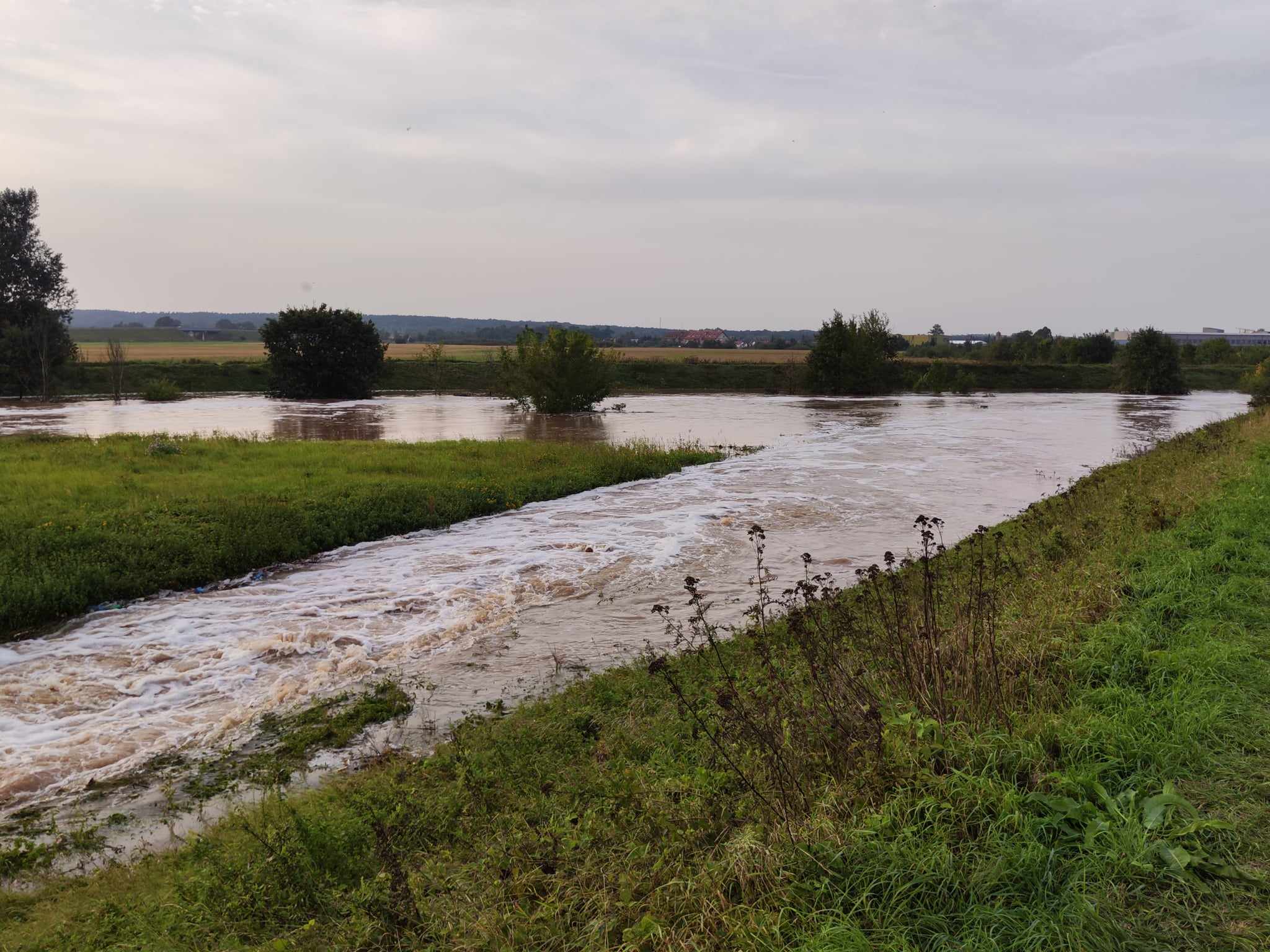 Woda zagraża Prochowicom. Mieszkańcy i strażacy walczą o miasto