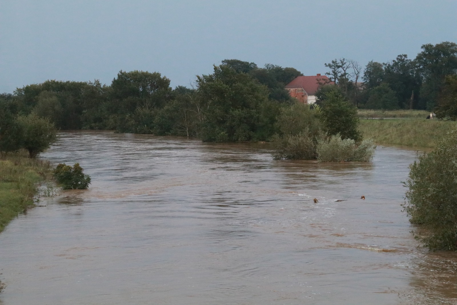 Woda zagraża Prochowicom. Mieszkańcy i strażacy walczą o miasto