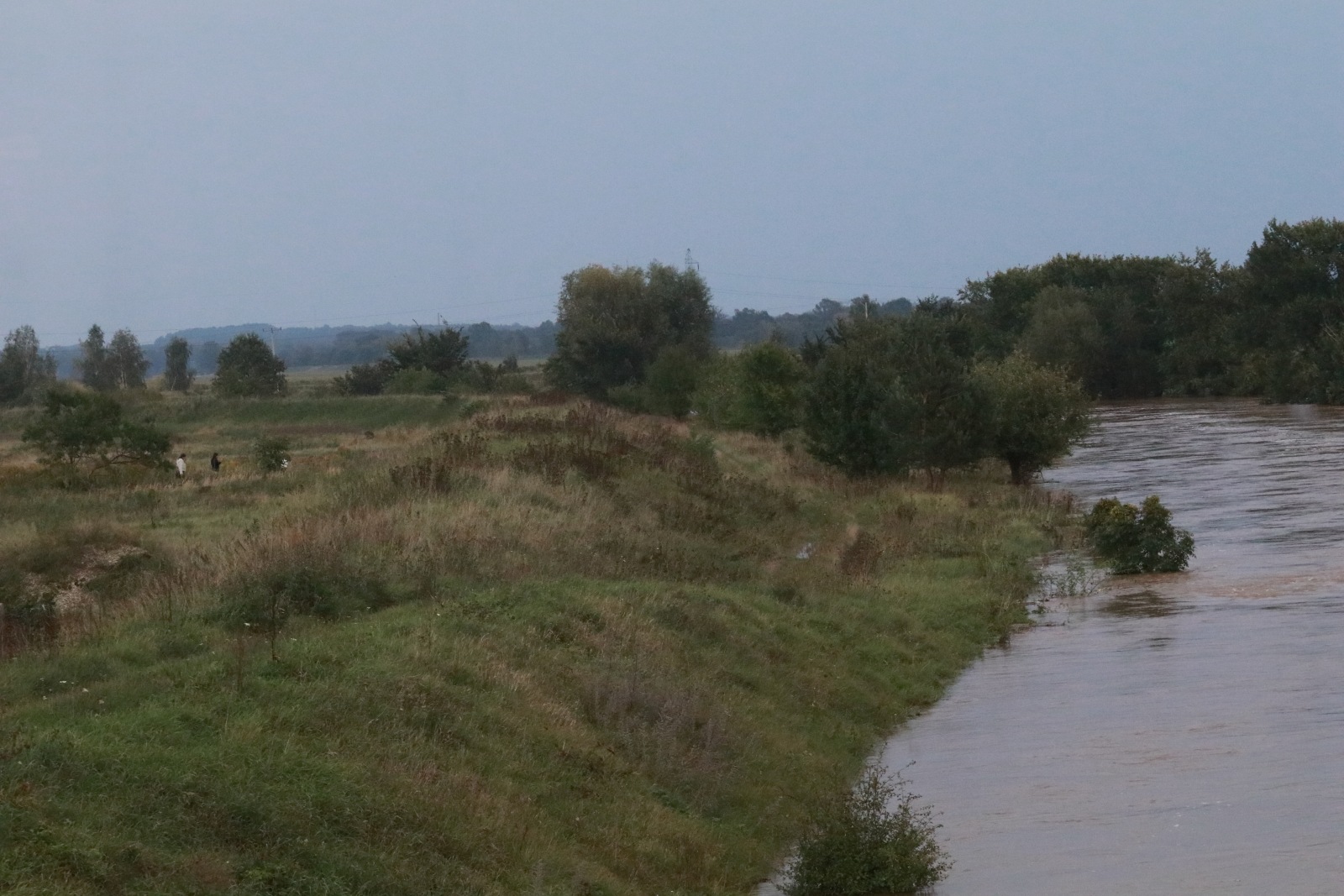 Woda zagraża Prochowicom. Mieszkańcy i strażacy walczą o miasto