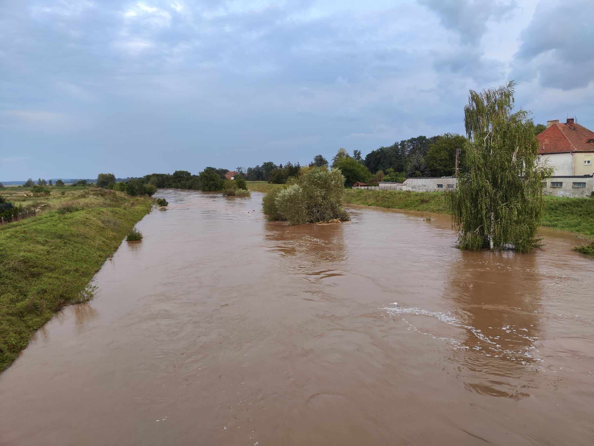 Woda zagraża Prochowicom. Mieszkańcy i strażacy walczą o miasto