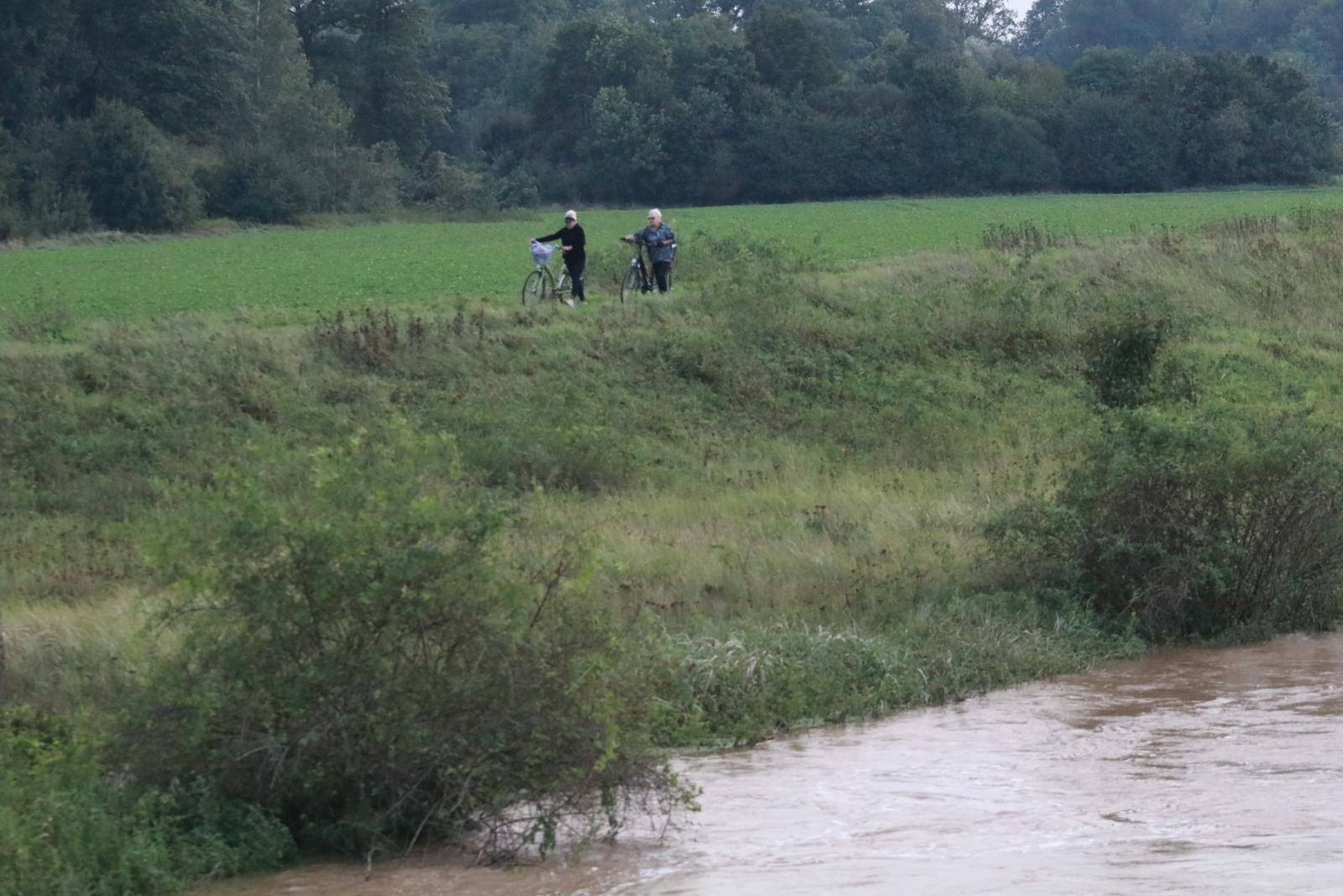 Woda zagraża Prochowicom. Mieszkańcy i strażacy walczą o miasto