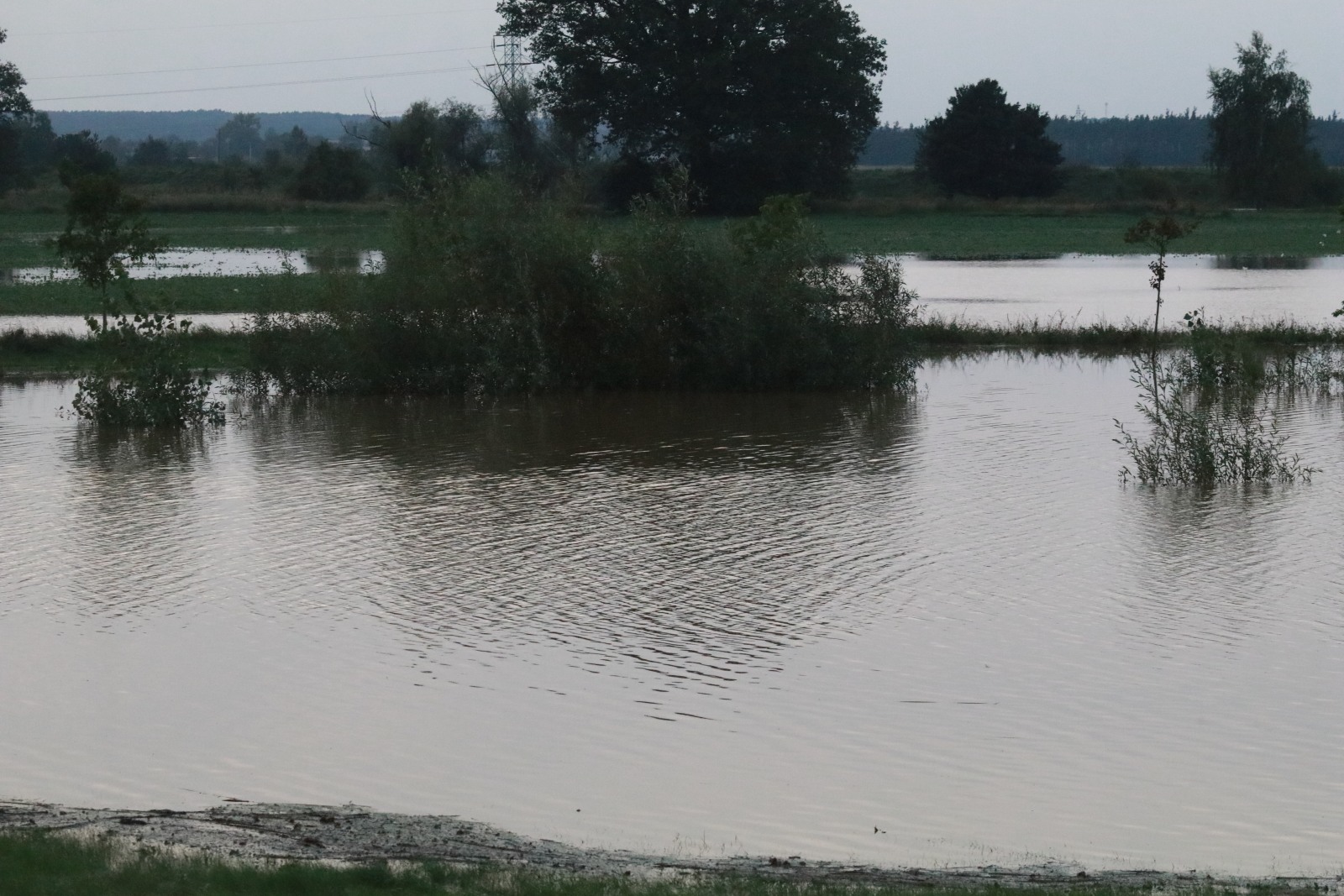 Woda zagraża Prochowicom. Mieszkańcy i strażacy walczą o miasto