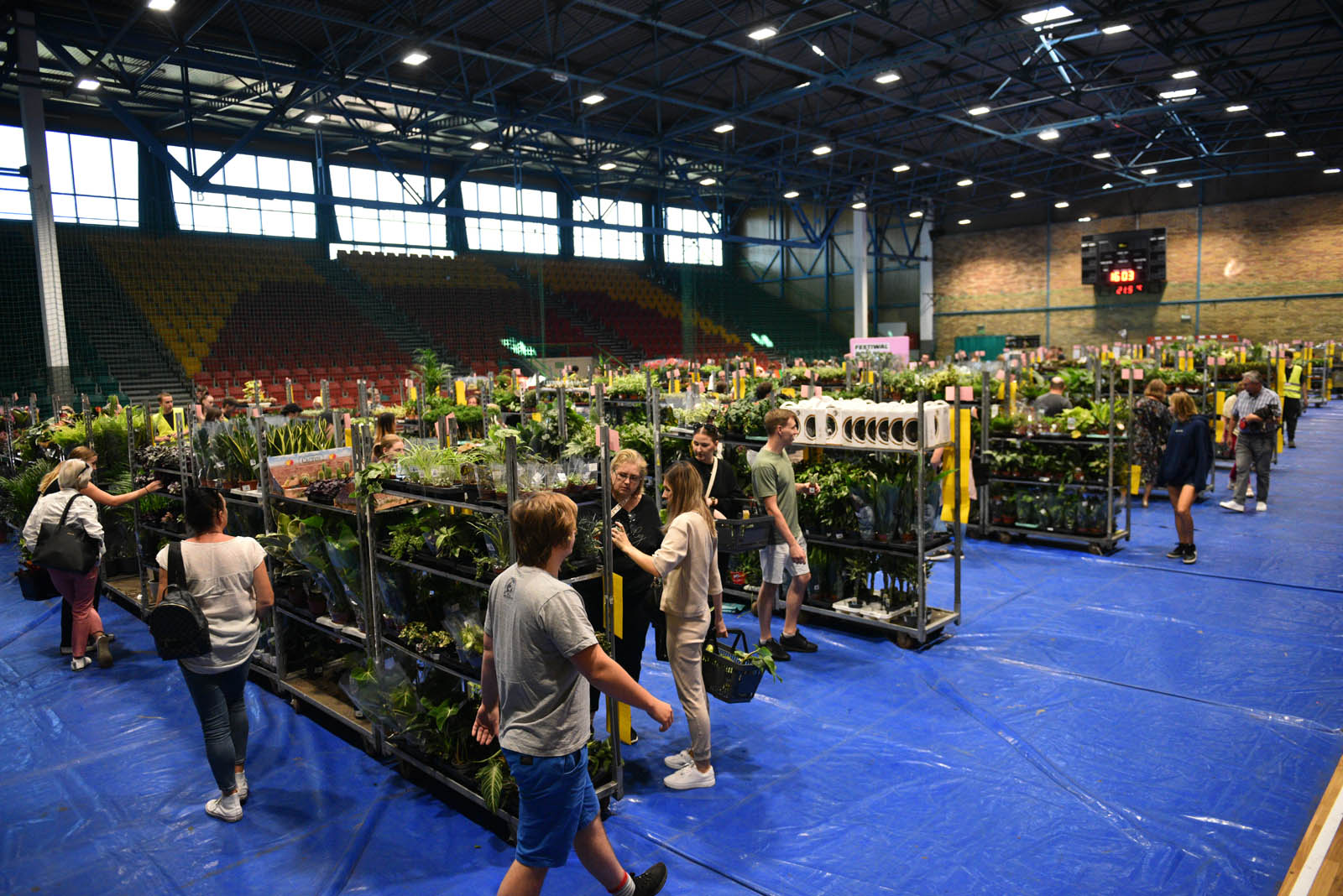 Festiwal Roślin przy ulicy Lotniczej przyciąga prawdziwe tłumy