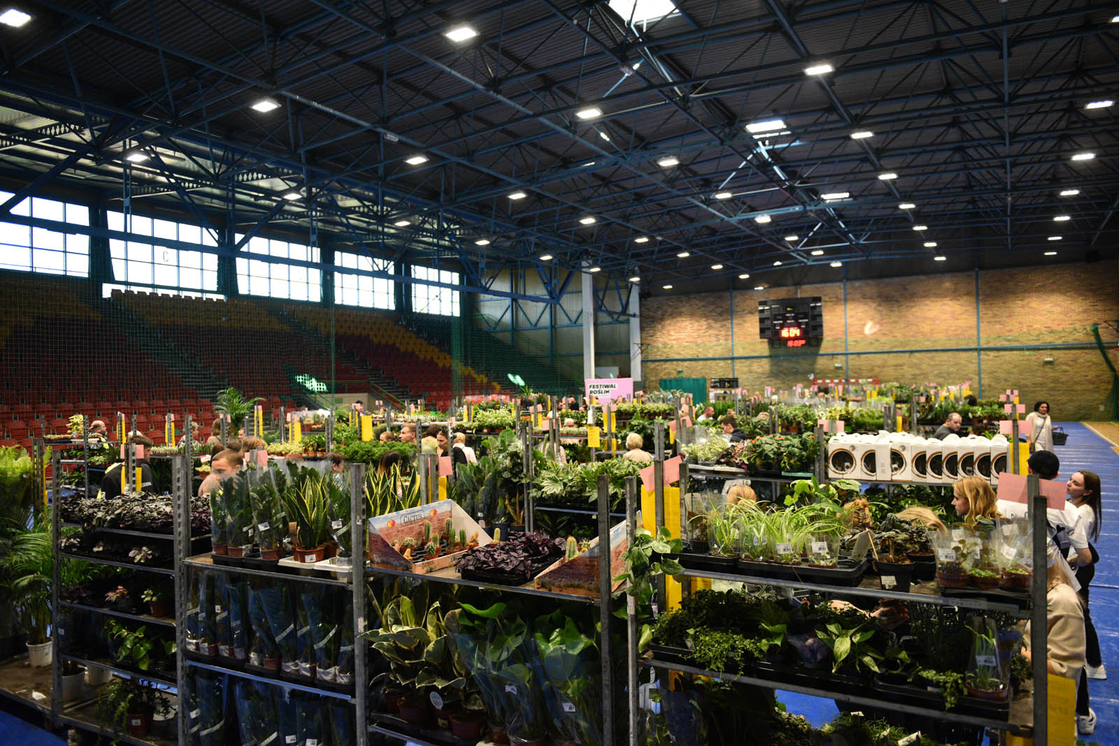 Festiwal Roślin przy ulicy Lotniczej przyciąga prawdziwe tłumy