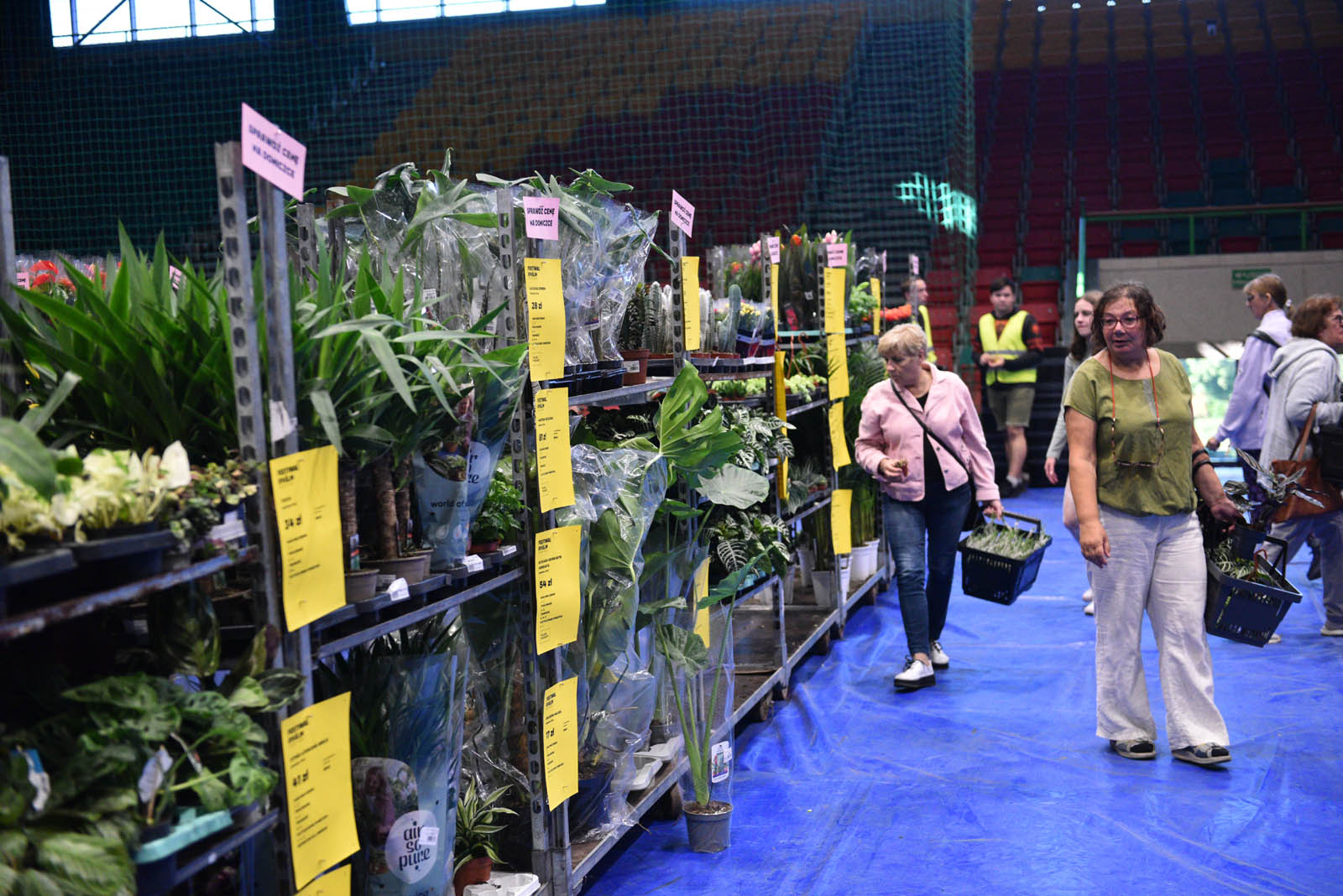 Festiwal Roślin przy ulicy Lotniczej przyciąga prawdziwe tłumy