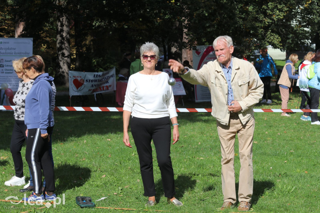 Piknik Aktywnego Seniora w Legnicy