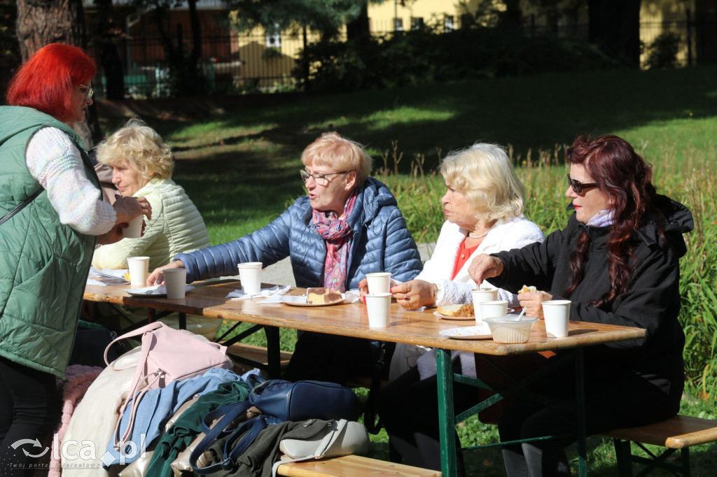 Piknik Aktywnego Seniora w Legnicy