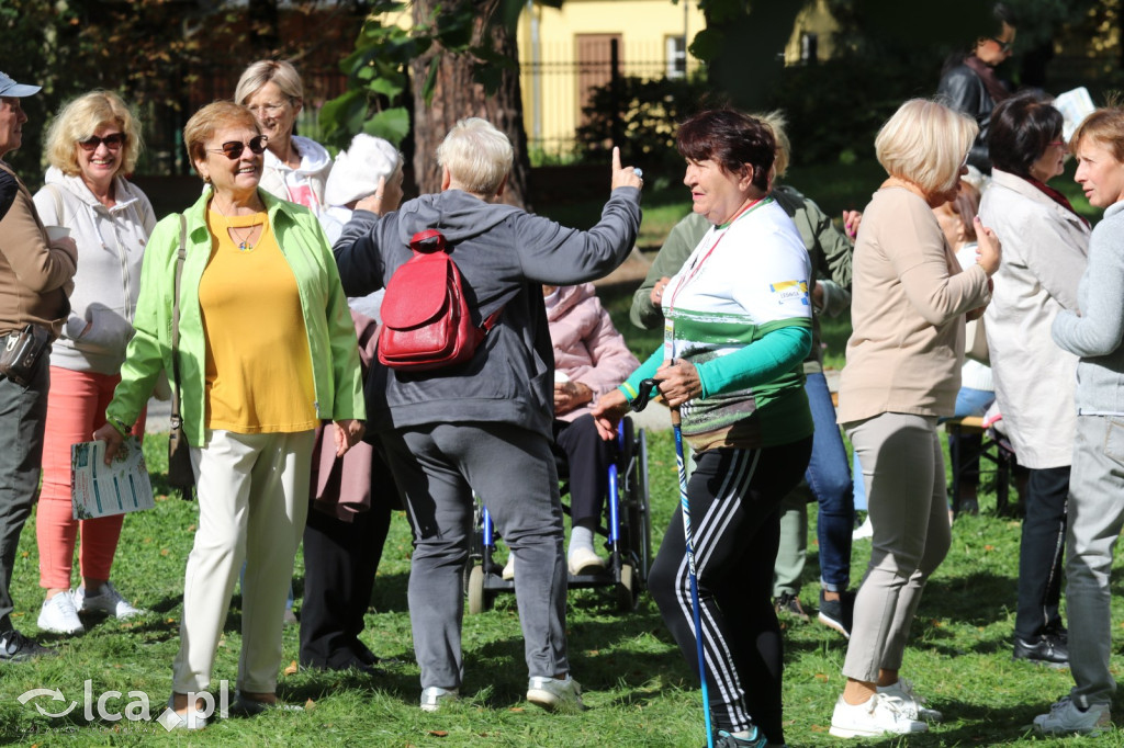 Piknik Aktywnego Seniora w Legnicy