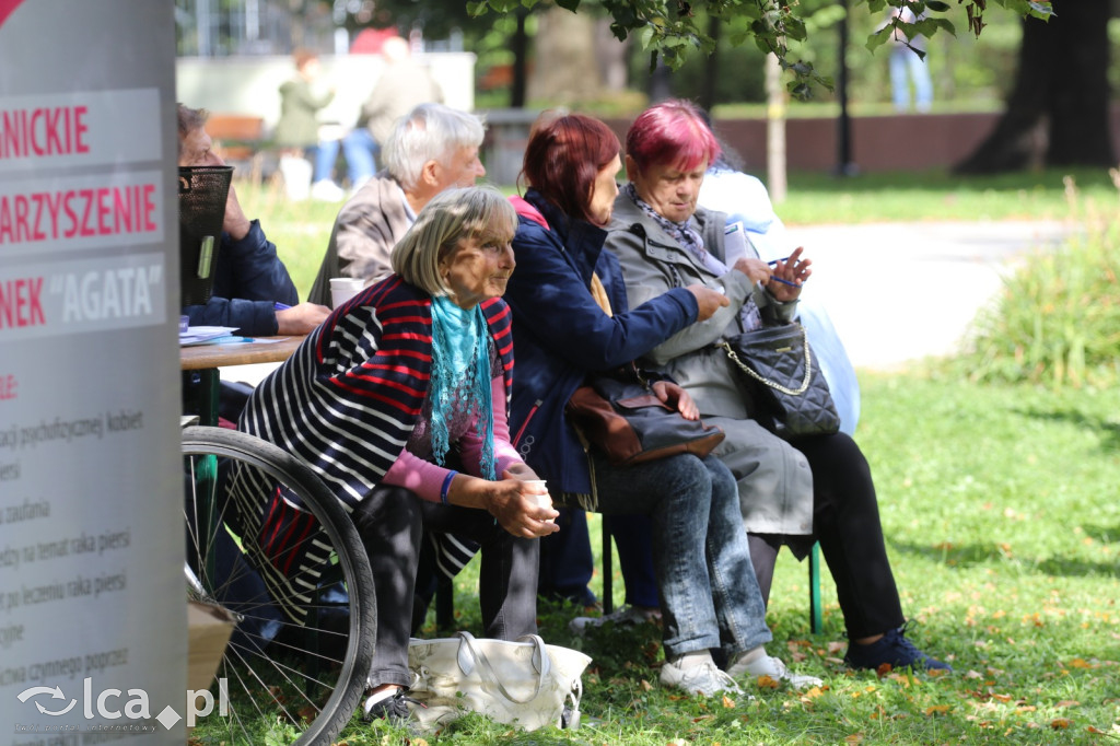 Piknik Aktywnego Seniora w Legnicy