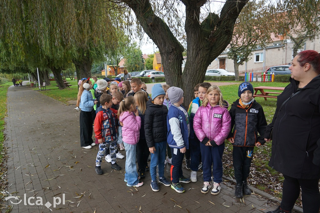 Kaczkomat nad jeziorem w Kunicach