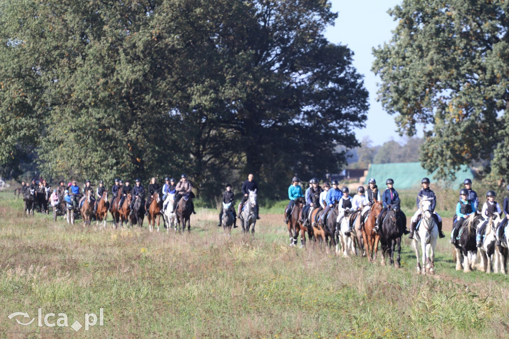 Hubertus 2024 w Niedźwiedzicach: Gonitwa za lisem