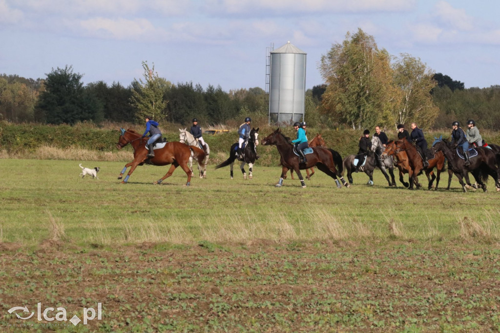 Hubertus 2024 w Niedźwiedzicach: Gonitwa za lisem