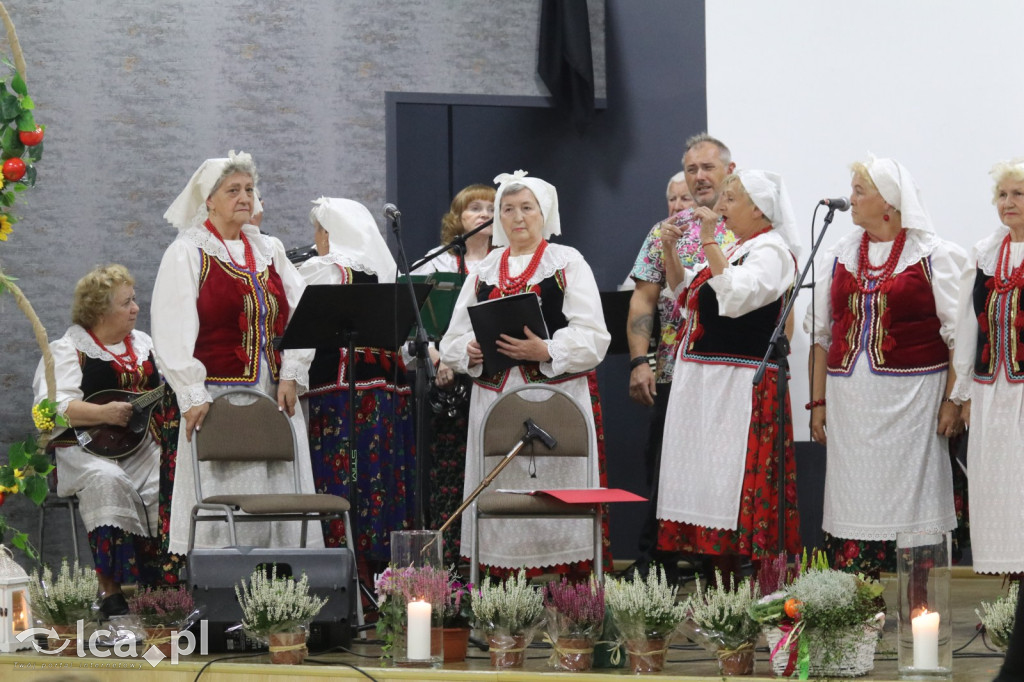 Święto Pieczonego Ziemniaka. Uczta Prochowiczan