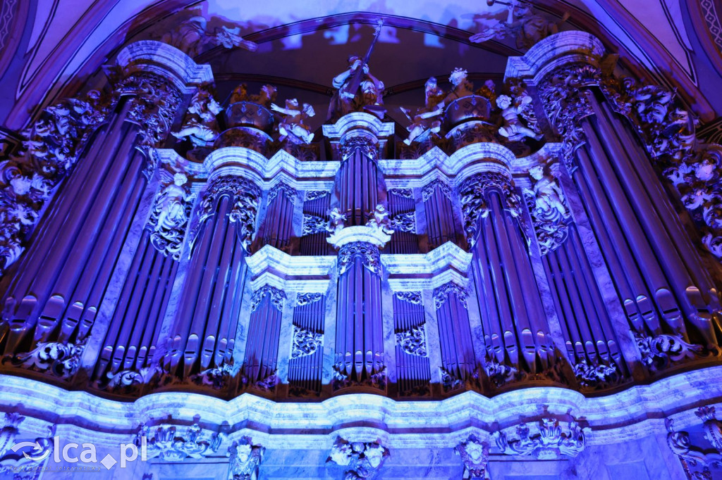 Koncert Adama Tańskiego w kościele Marii Panny