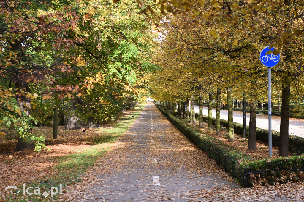 Otulony barwami jesieni park w całej okazałości