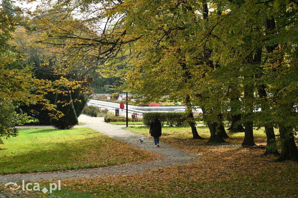 Otulony barwami jesieni park w całej okazałości