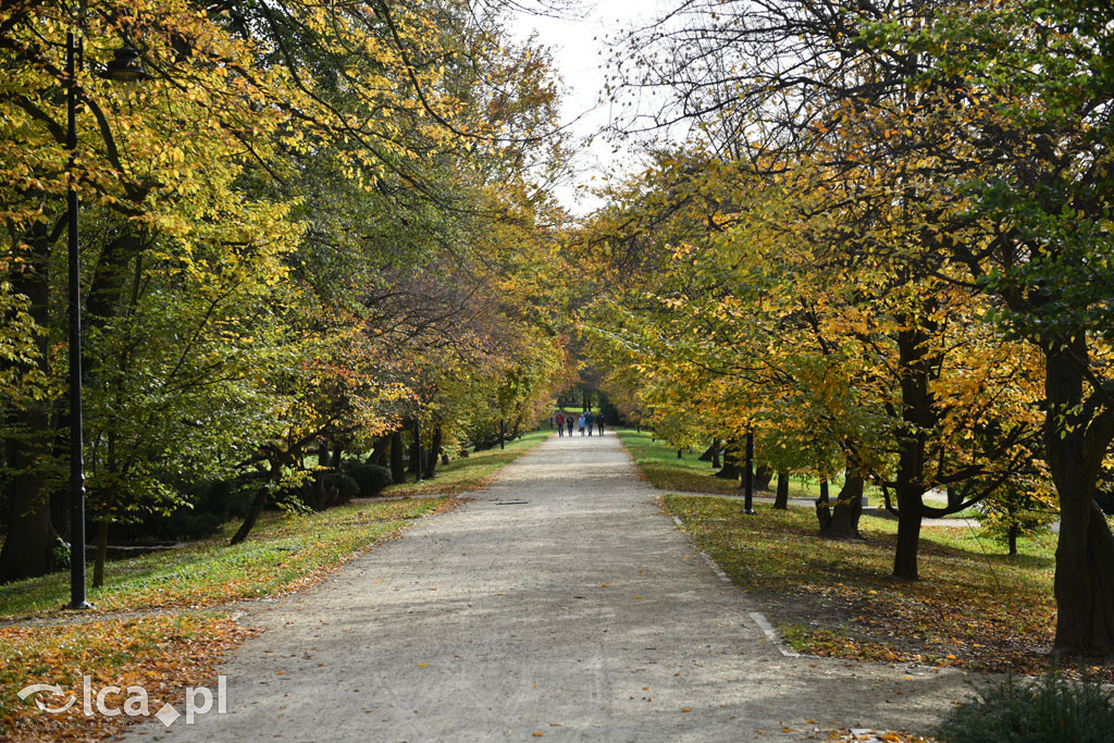 Otulony barwami jesieni park w całej okazałości