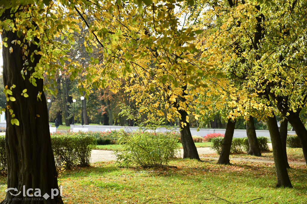 Otulony barwami jesieni park w całej okazałości