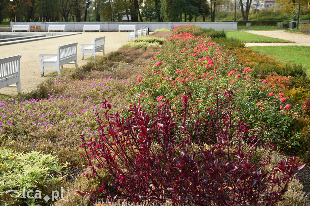 Otulony barwami jesieni park w całej okazałości