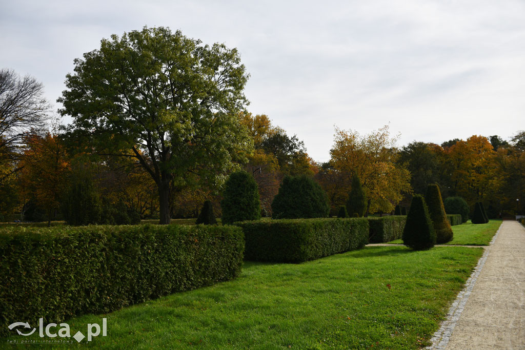 Otulony barwami jesieni park w całej okazałości