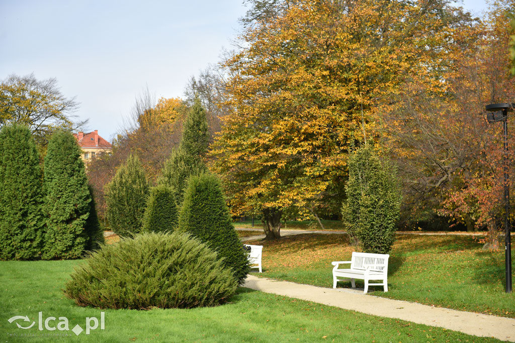 Otulony barwami jesieni park w całej okazałości